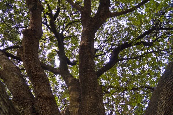 Inspirational Athens excursion