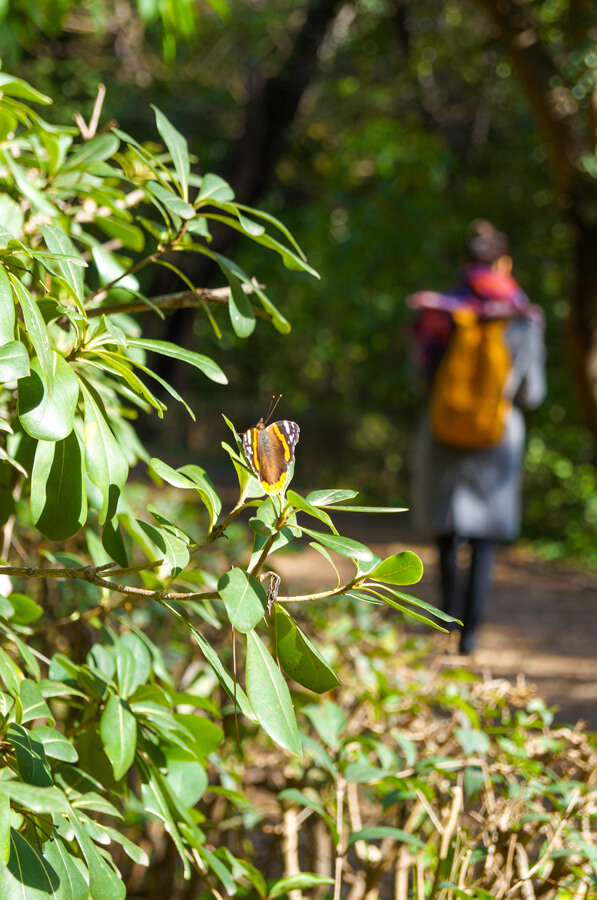 Athens for kids - family activity in Athens