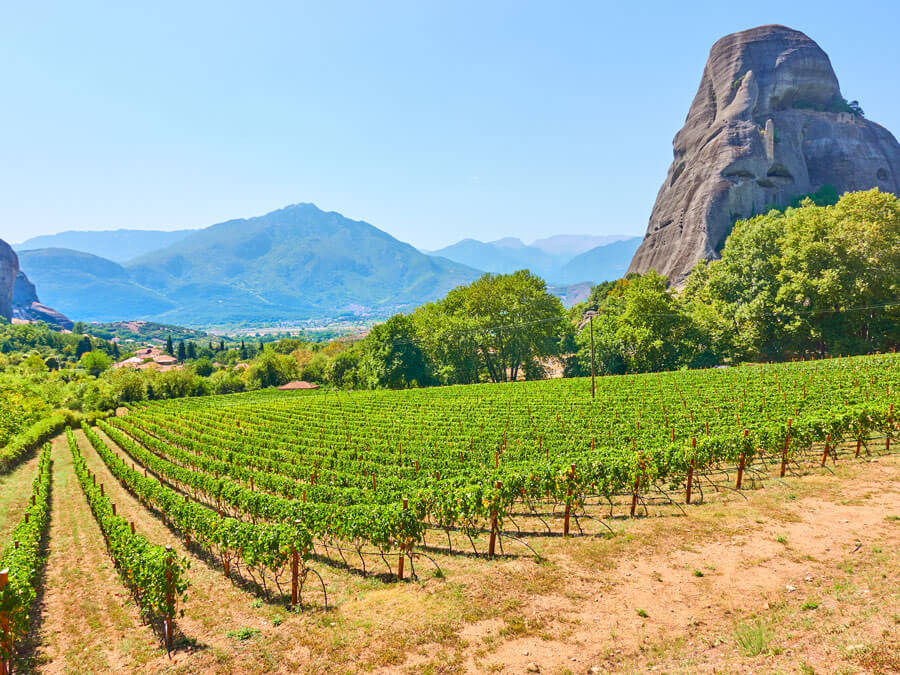 Credit: Zoom-zoom / BigStock Wine vineyard in Greece
