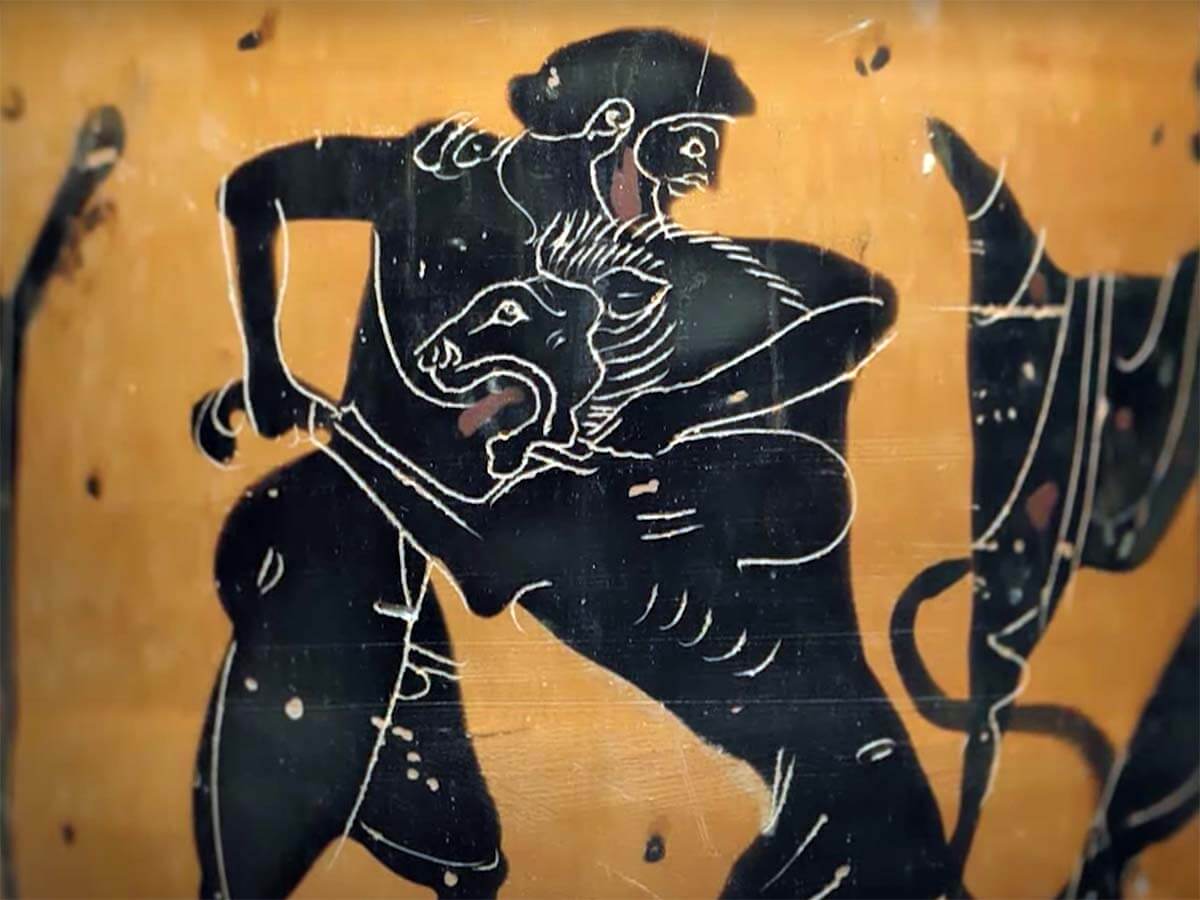 Scene from an Attic black figure neck amphora, ca. 510-500 BC Hercules fighting the Nemean Lion for his 1st labor