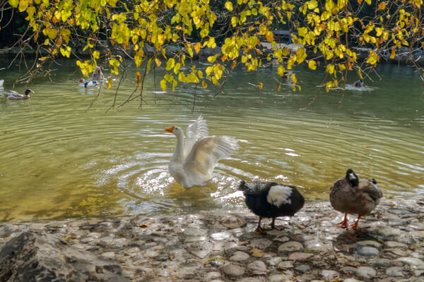 Athens for kids - family activity in Athens