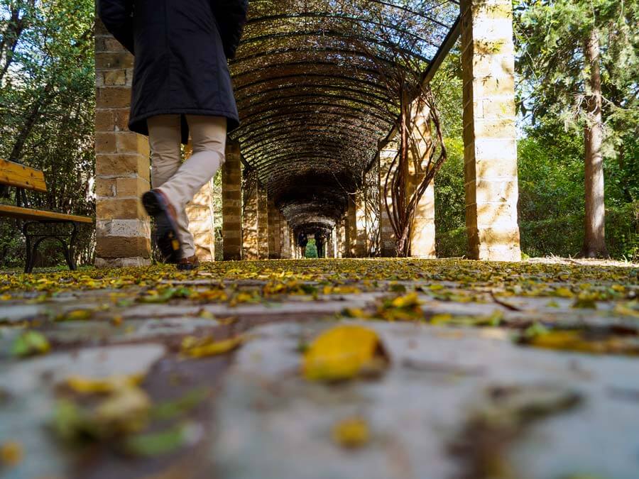 Credit: Greek TravelTellers The National Gardens of Athens in October